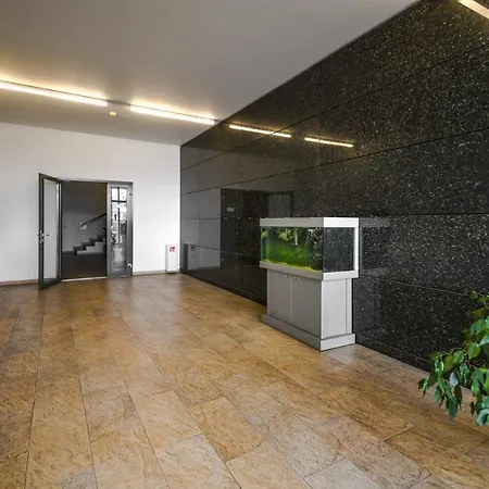K129 Living In Center Daire
